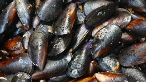 close up of cooked mussels