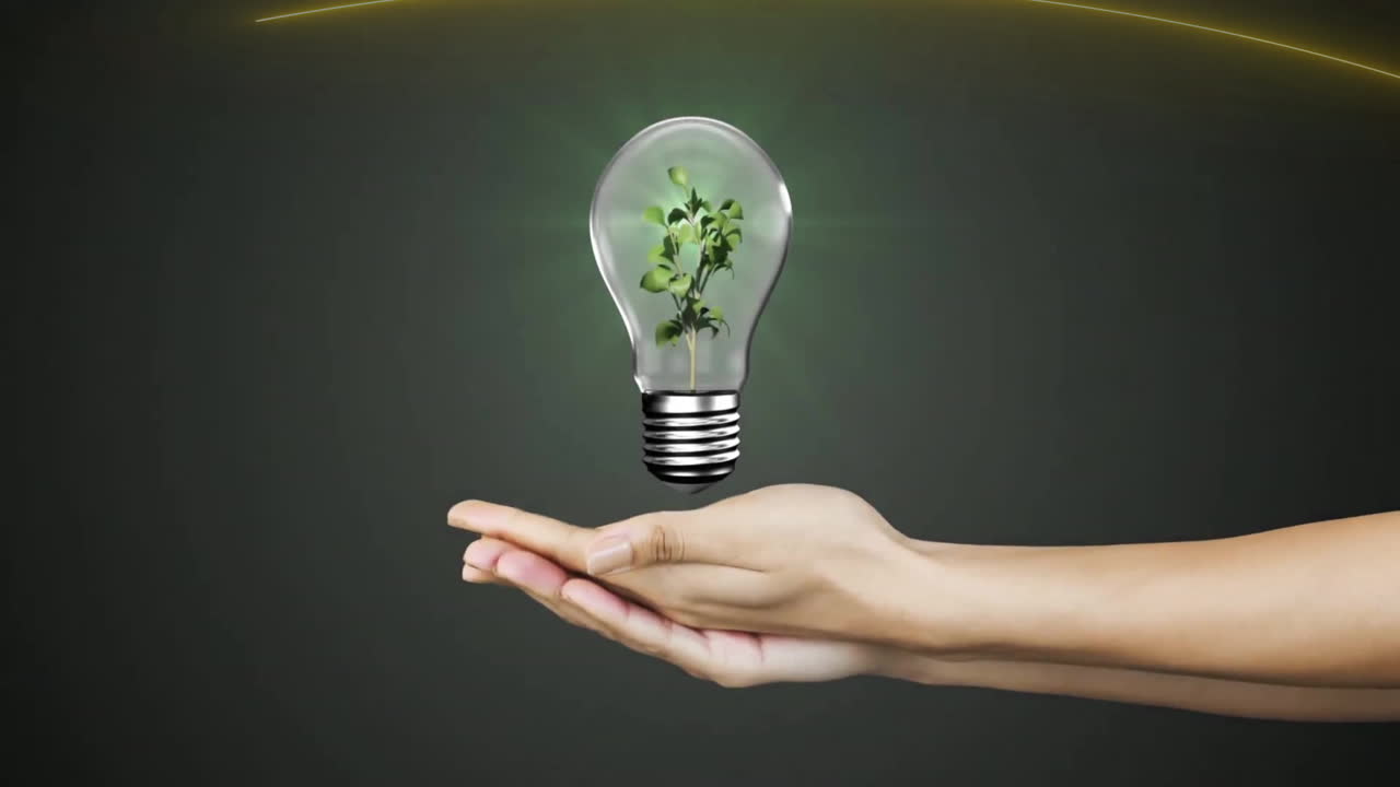 Animation of hands with lightbulb with plant on green background