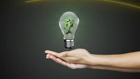 animation of hands with lightbulb with plant on green background