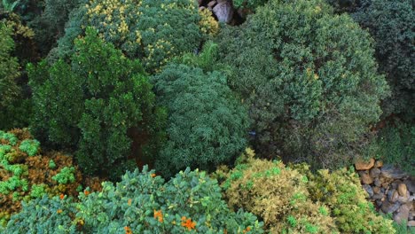 aerial view of the morogoro rock garden-2