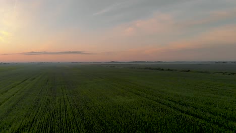 Hora-Dorada---Campo-De-Tierras-De-Cultivo-De-Hermoso-Paisaje-Natural-En-Letonia,-Sobrevuelo-De-Drones-Aéreos