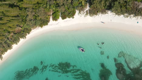Ein-Motorboot-Bringt-Touristen-Zur-Brush-Island---Vertikale-Luftaufnahme-Der-Pinieninsel