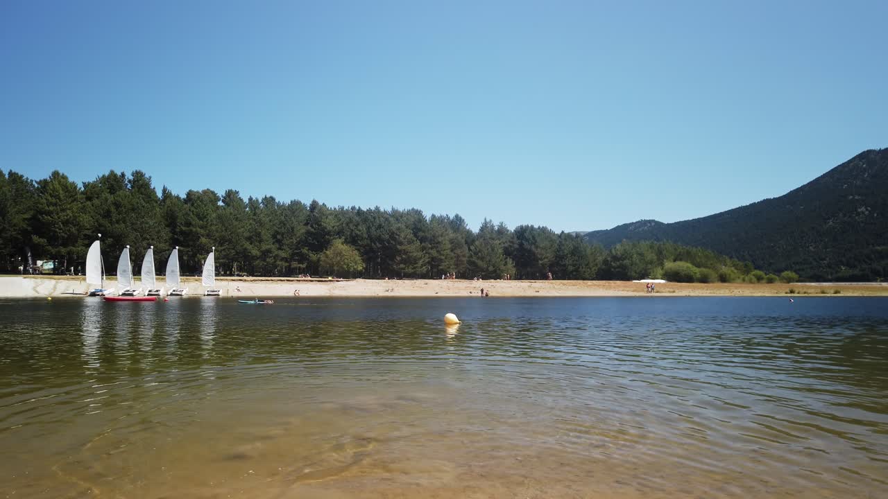 Energetic young dog with black and white fur, playing fetch, lake in East France