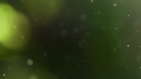 abstract dust particles floating natural green background, slow motion 120fps 4k