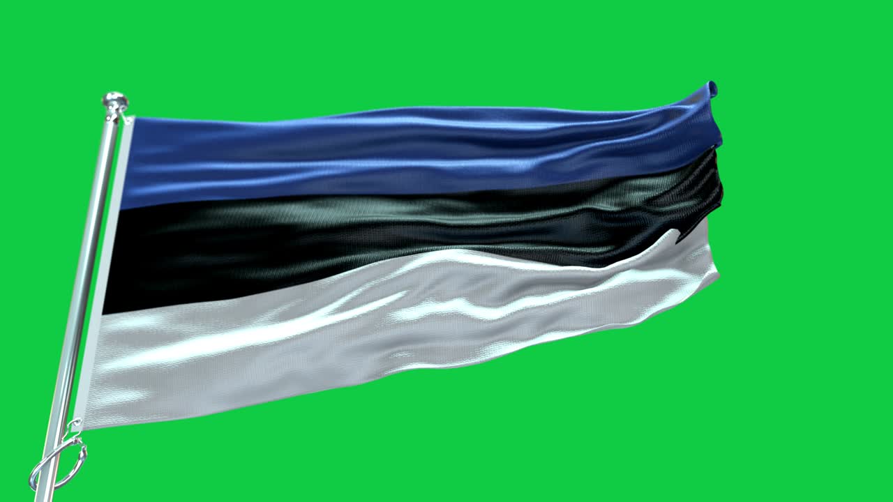 4k 에스토니아의 매우 상세한 발 - 에스토니아 발 높은 상세 - 국가 발 에스토니아 파동 패턴 루프 가능한 요소