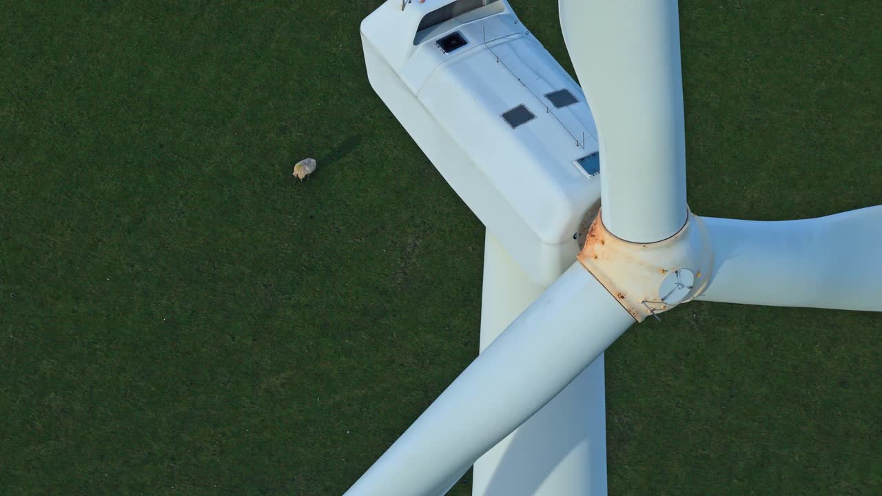 Aerial view of wind turbine blades turning with sheep grazing below