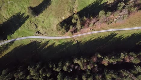 tracking along a single lane dirt road wandering through a fall valley near toggenburg, switzerland, aerial