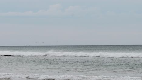 birds soar above waves at great ocean road