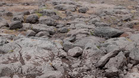 tiro inclinado del suelo árido y reseco donde una vez hubo agua en el río antes del calentamiento global