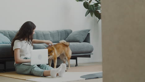 cute girl caresses her dog while working on her laptop at home