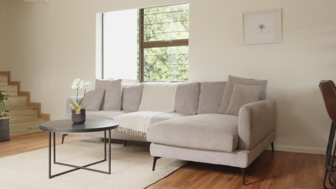 Cozy living room with gray sofa and orchid on table by window, copy space