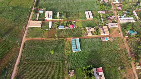 farm-farmland-landscape-rural