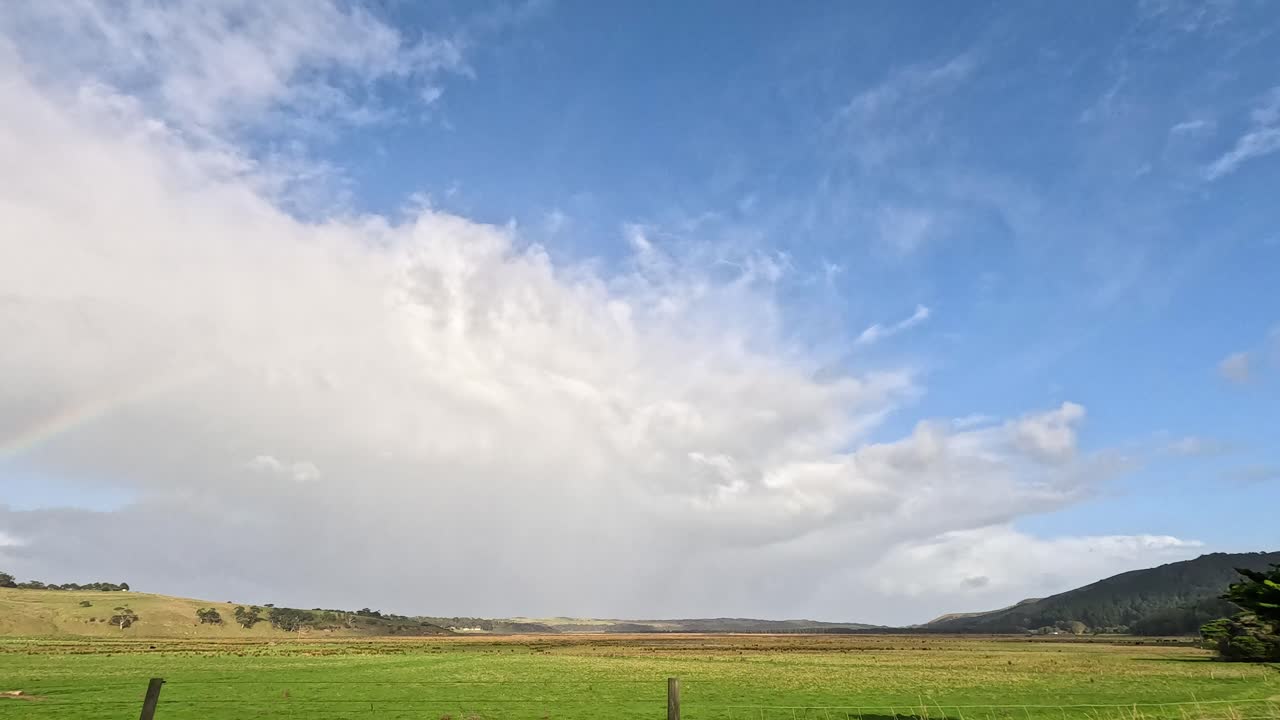 밝은 파란 하늘 아래의 무지개와 나무