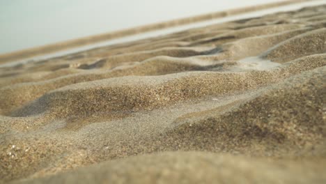 Primer-Plano-Macro-De-Grano-De-Sal-En-Las-Dunas-Del-Desierto,-Toma-Cinematográfica-Del-Fondo-De-La-Naturaleza-Con-Espacio-De-Copia