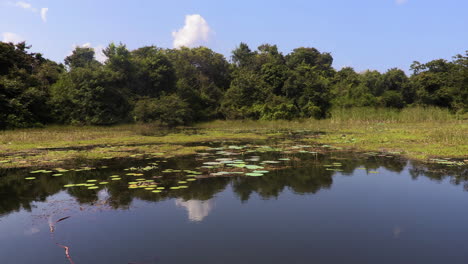 Pan-Del-Paisaje-Del-Lago-En-El-Agua-En-Sri-Lanka