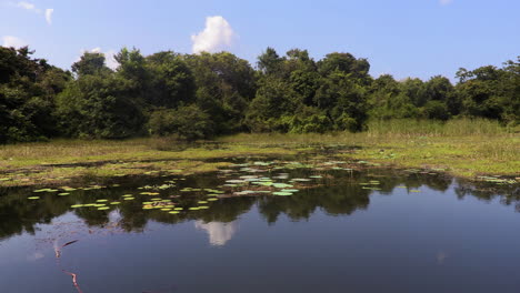 pan of lake landscape in the water in sri lanka