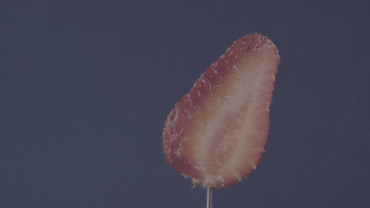 크로마 키를 위해 파란 화면에 루프와 함께 회전하는 딸기