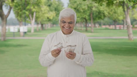 Happy-Indian-old-man-counting-money-in-park