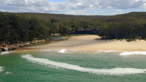 lush vegetation surrounding wattamolla beach at royal national park in new south wales, australia - aerial drone shot
