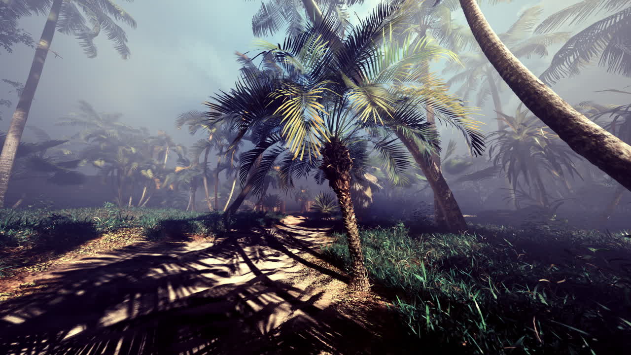 Lush tropical landscape with palm trees and misty atmosphere at dawn