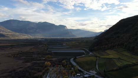 Flugdrohne-über-Den-Weinbergen-Im-Herbst-In-Südtirol