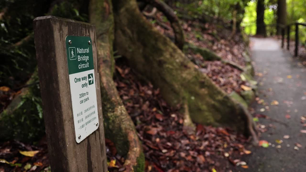 산책로, 표지판 및 숲, 자연 다리, 스프링브룩 국립 공원, 골드 코스트, 오스트레일리아