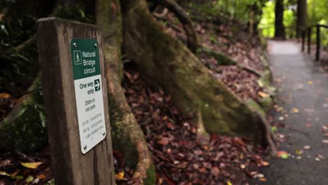 Static-view-of-the-walking-trail,-signage-and-forest,-Natural-Bridge,-Springbrook-National-Park-Gold-Coast,-Australia