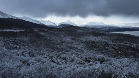 Aerial-view-of-snowy-forest-and-glaciers