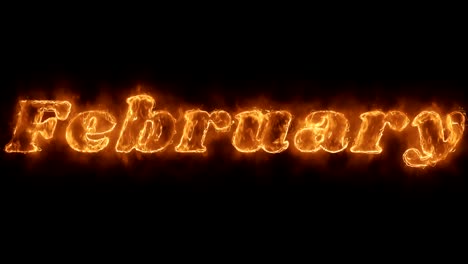 febrero palabra animada caliente quema el bucle de llama de fuego realista.