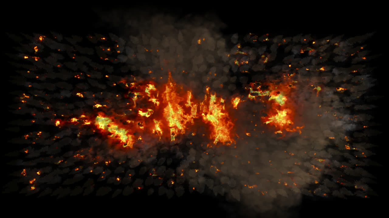 vista aérea de un incendio forestal