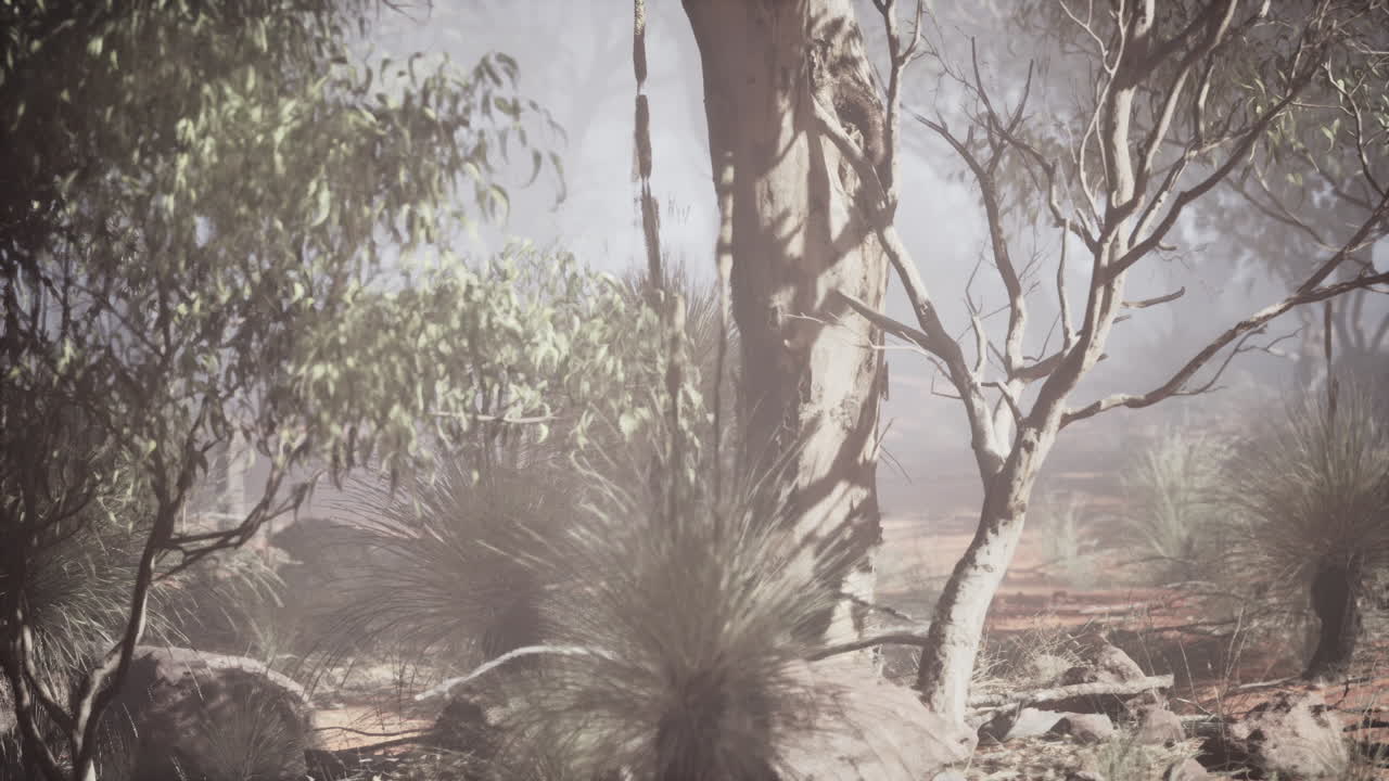 Blurry trees and bushes in forest