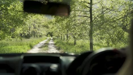 Tienda-En-Cámara-Lenta-De-Conducción-De-Automóviles-A-Través-De-Un-Exuberante-Bosque-Arbolado-Verde