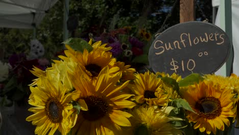 sunflowers at local farmers market