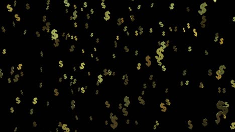 golden dollar symbols falling on the black background. 4k