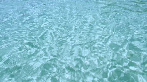 Clean-blue-flag-beaches-of-Halkidiki-Peninsula,-Greece