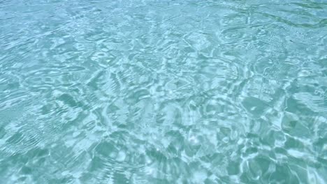 clean blue flag beaches of halkidiki peninsula, greece