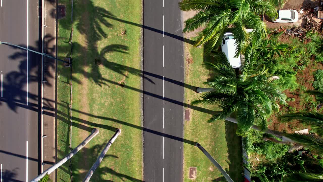 guadeloupe 섬의 allee dumanoir, capesterre belle eau