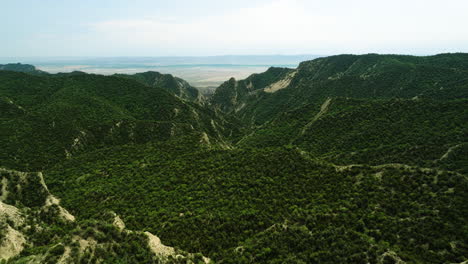 Hügel-Mit-üppiger-Buschvegetation-Im-Naturschutzgebiet-Vashlovani,-Georgia