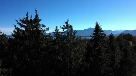 Coniferous-Forest-Revealed-Chiemsee-Lake-During-Autumn-In-Bavaria,-Germany