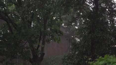 Heavy-rain-in-a-garden-between-trees-hr01