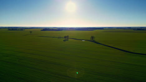 Amplio-Paisaje-De-Campos-Verdes-Y-Frescos-Durante-El-Amanecer.