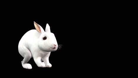 a rabbit jumping hopping on black background with alpha channel included at the end of the video, 3d animation, perspective view, animated animals, seamless loop animation