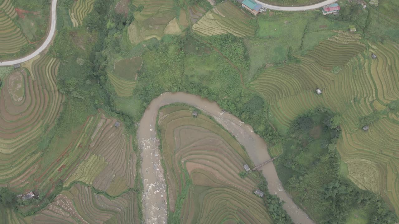 도로, 강, 논 바로 위의 드론 촬영