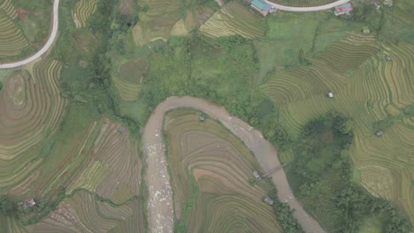 drone shot directly above road, river and rice paddies