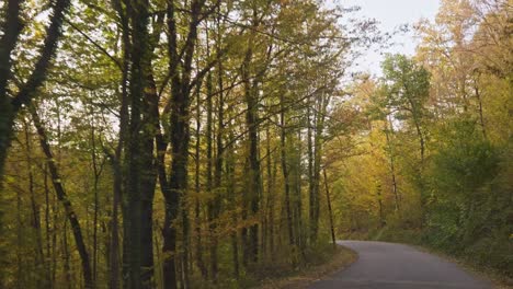 Viaje-En-Coche-Otoño-Silvicultura-Carretera-Rural-Placa-De-Conducción-Disparo-Parabrisas