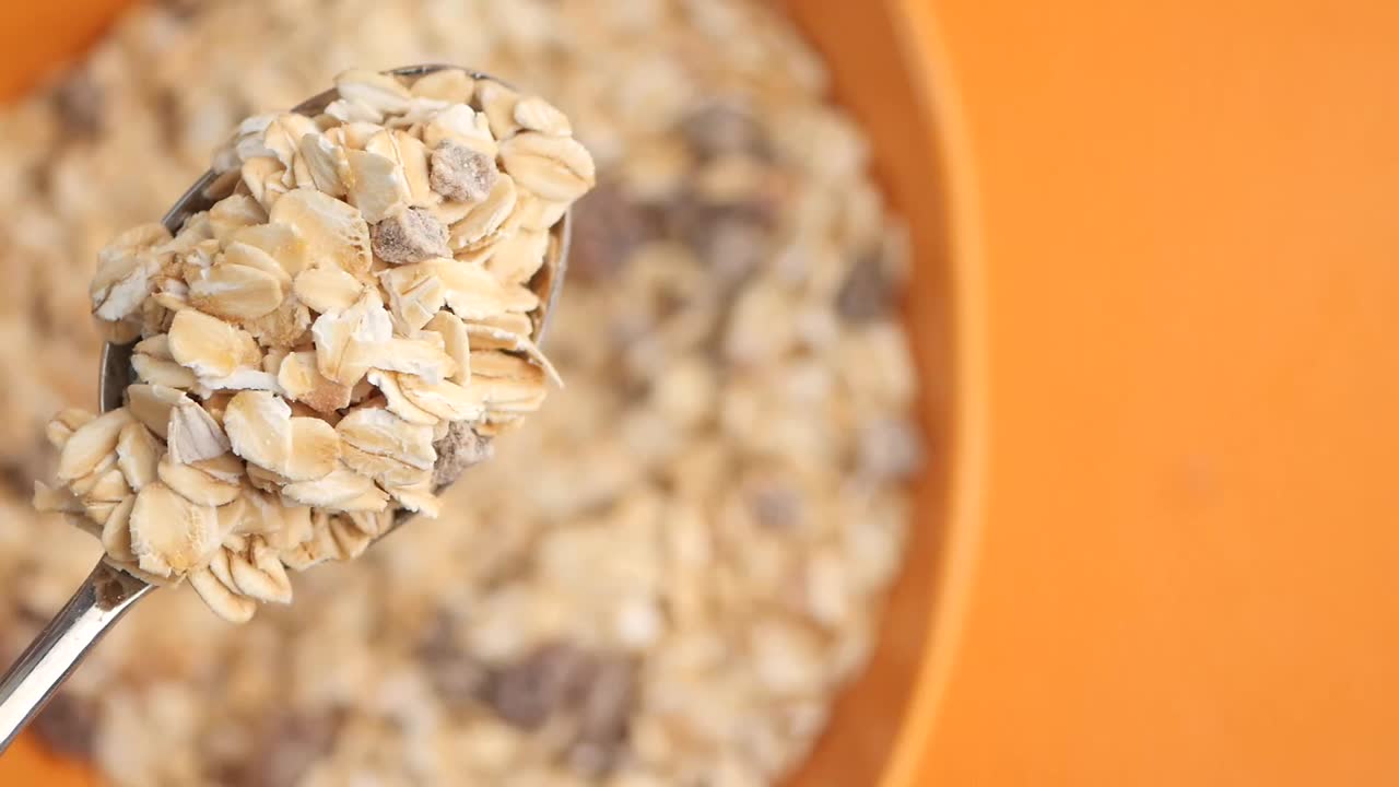 Oatmeal with Chocolate Chips in a Bowl