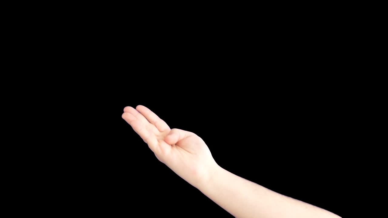 手のジェスチャー