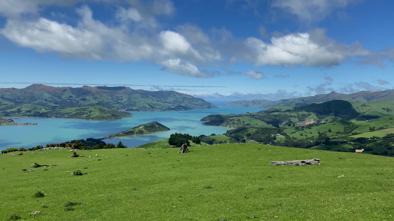 Looking down sunny Banks Peninsula bay over a green meadow