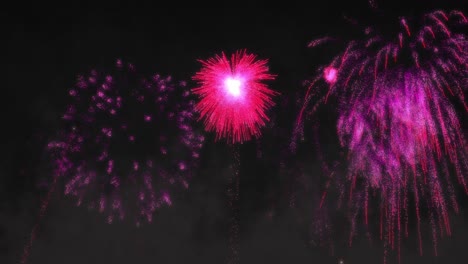 Animation-of-pink-fireworks-exploding-on-black-background