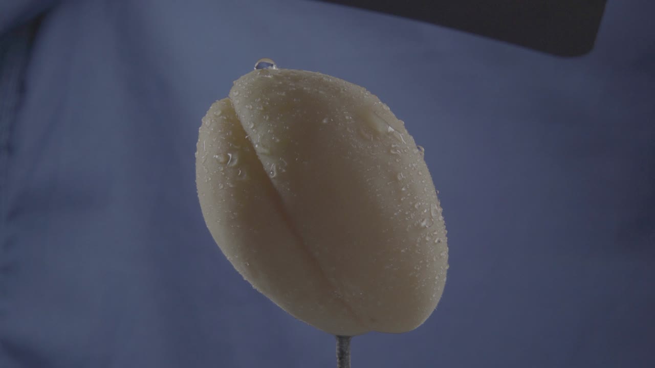 albaricoque girando con bucle en pantalla azul para la llave de croma